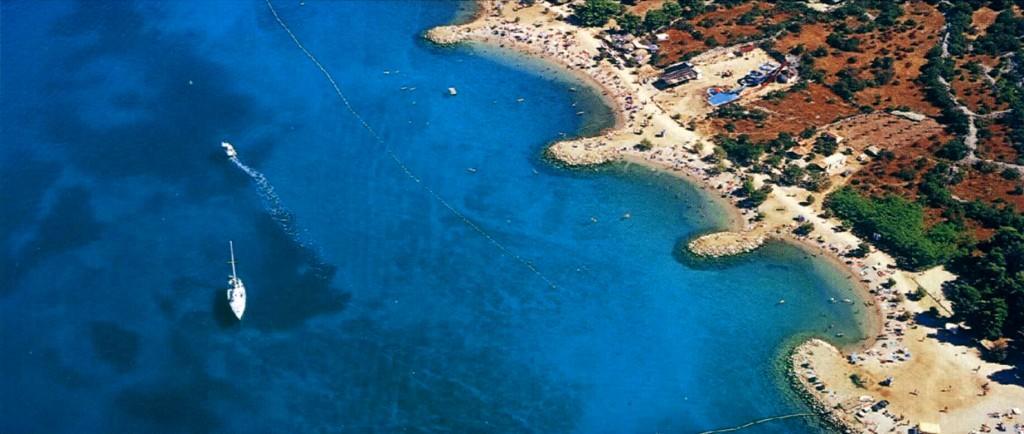 Punta