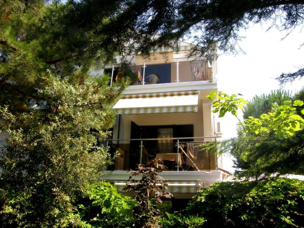 Punta